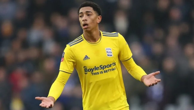 们的语言 们的语言